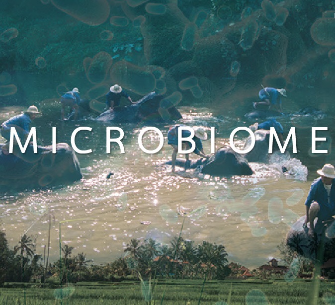 microbiome