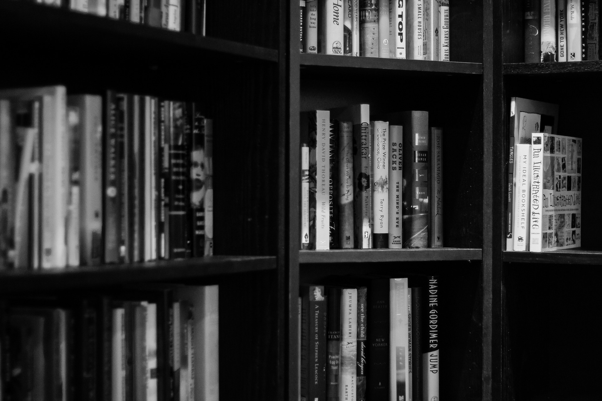 bookshelves-932780_1920